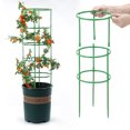 thumbnail image 3 of Soporte de flores empalmable, soporte de anillo, varilla de soporte para plantas de interior, estante para flores, estante para trepar ramas de balcón, 3 of 4