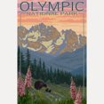 thumbnail image 2 of CafePress - Olympic National Park, WA Bear & Cubs W/ Flowers - White Shot Glass, Unique and Funny Shot Glass, 2 of 2