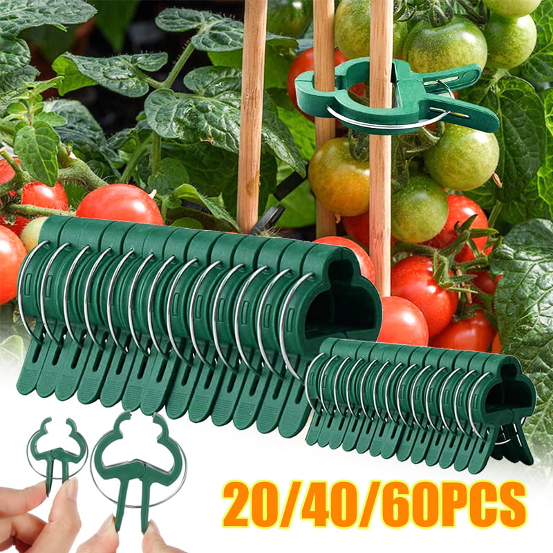 Details about   200pcs Set Tomato Veggie Garden Plant Support Clips for Trellis Twine Greenhouse 
