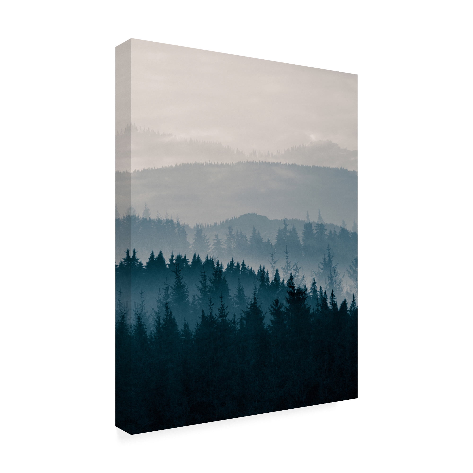 Trademark Fine Art 'Blue Mountains II' Canvas Art by PhotoINC Studio