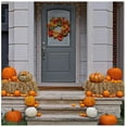 thumbnail image 4 of Sylvania Indoor/Outdoor Halloween Mini Lights, 100 Orange Bulbs, Black Wire, 22', 4 of 5