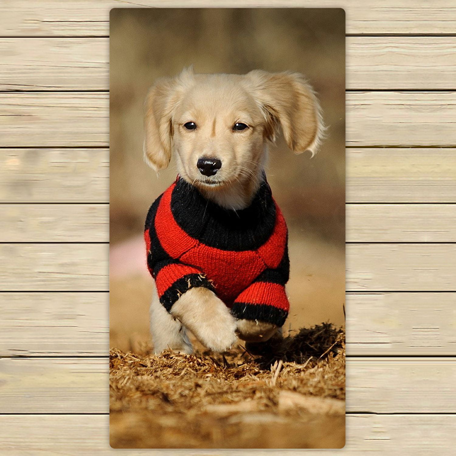 ZKGK Dachshund Hand Towel Bath Towels Beach Towel For Home Outdoor