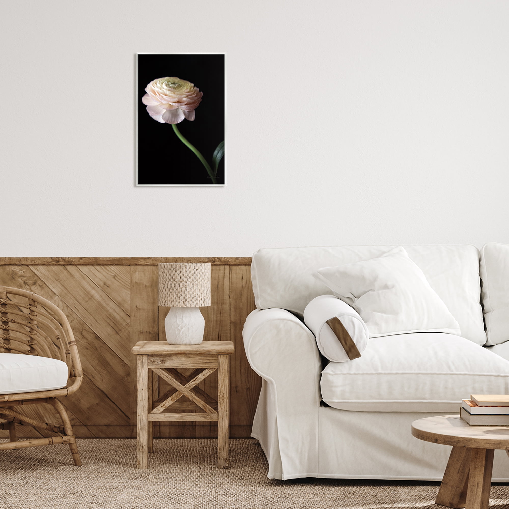 Stupell Industries Ranunculus on Black Botanical & Floral Photography Unframed Art Print Wall Art, 13 x 19