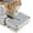 Light Grey with Base, variant on Cat Litter Box Step Ramp, Cat Litter Catcher Mat with Wooden Feet, Filter Function, Pedal Stool for Self-Cleaning Litter Box, Ideal for Kitten & Elderly Cats