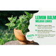 thumbnail image 4 of Lemon Balm Tea – Melissa Officinalis Herbal Tea Bags – Calming & Soothing – 100% Natural Leaves – 30 Caffeine-Free Tea Bags, 4 of 8