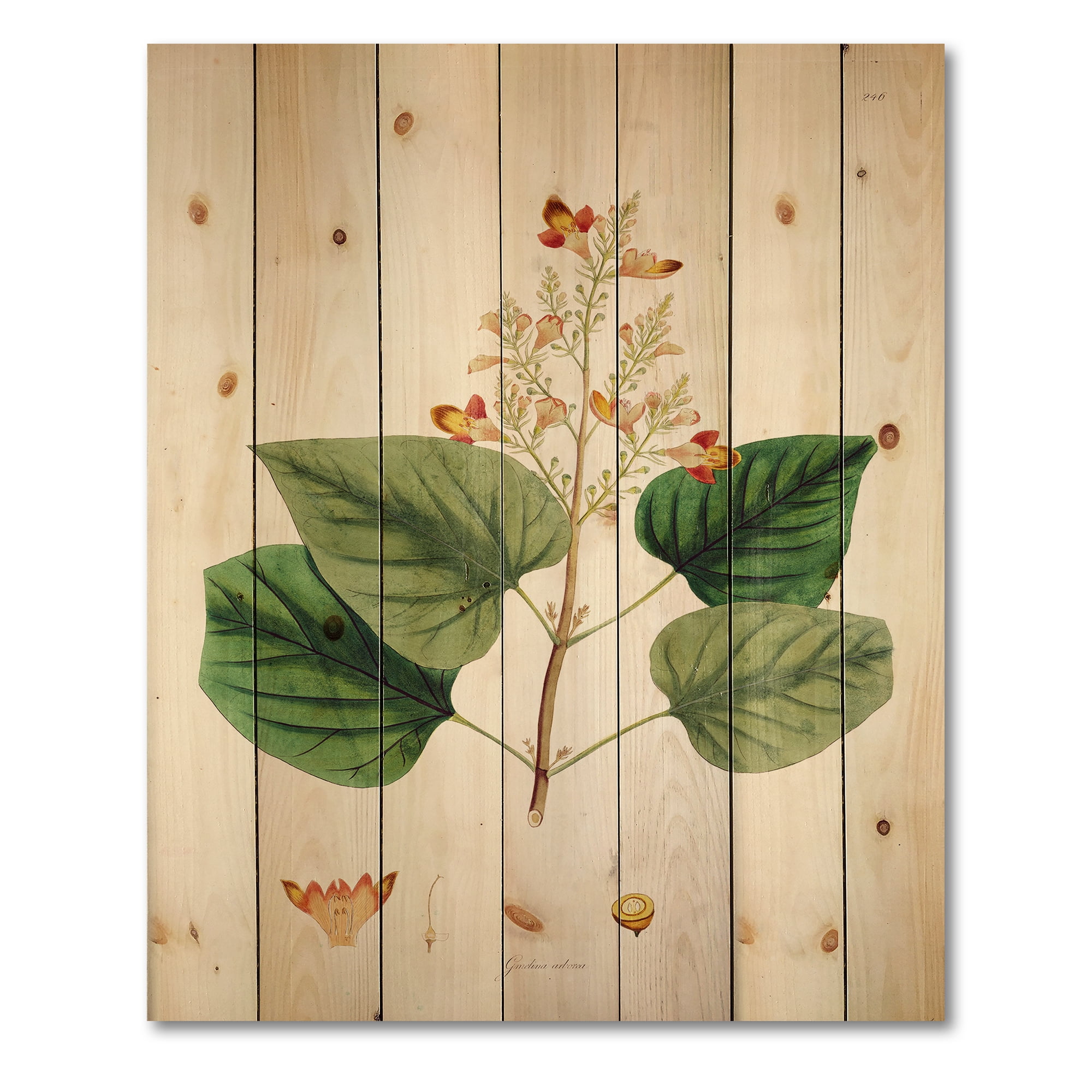 Designart 'Ancient London Plants XII' Farmhouse Print on Natural Pine Wood