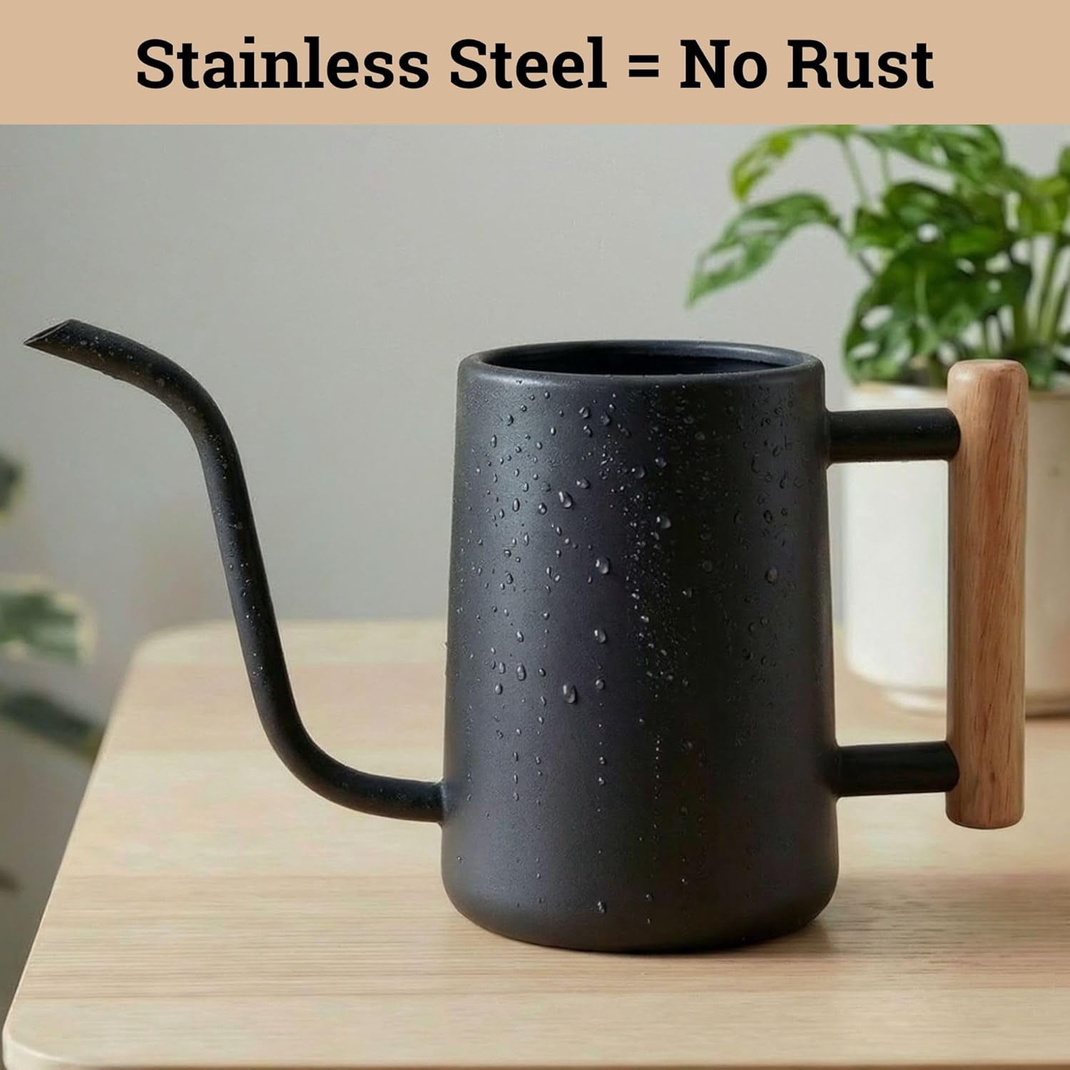 35 Ounce Metal Small Indoor Watering Can with Long Spout & Real Wood Handle for House Plants, Succulents, Cacti Seedlings - Black Plants Gentle Flow No Spills