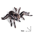 thumbnail image 1 of Figuras de animales realistas de Flormoon - Modelo de acción de araña Figuras de juguete de insectos realistas Flormoon Flormoon, 1 of 2