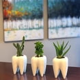 thumbnail image 2 of 1pcs Tooth Shaped Ceramic Flowerpot Furnishings Plant Pot Vase Nursery D3d0 Cactus Flower Cu Table Basin, 2 of 8