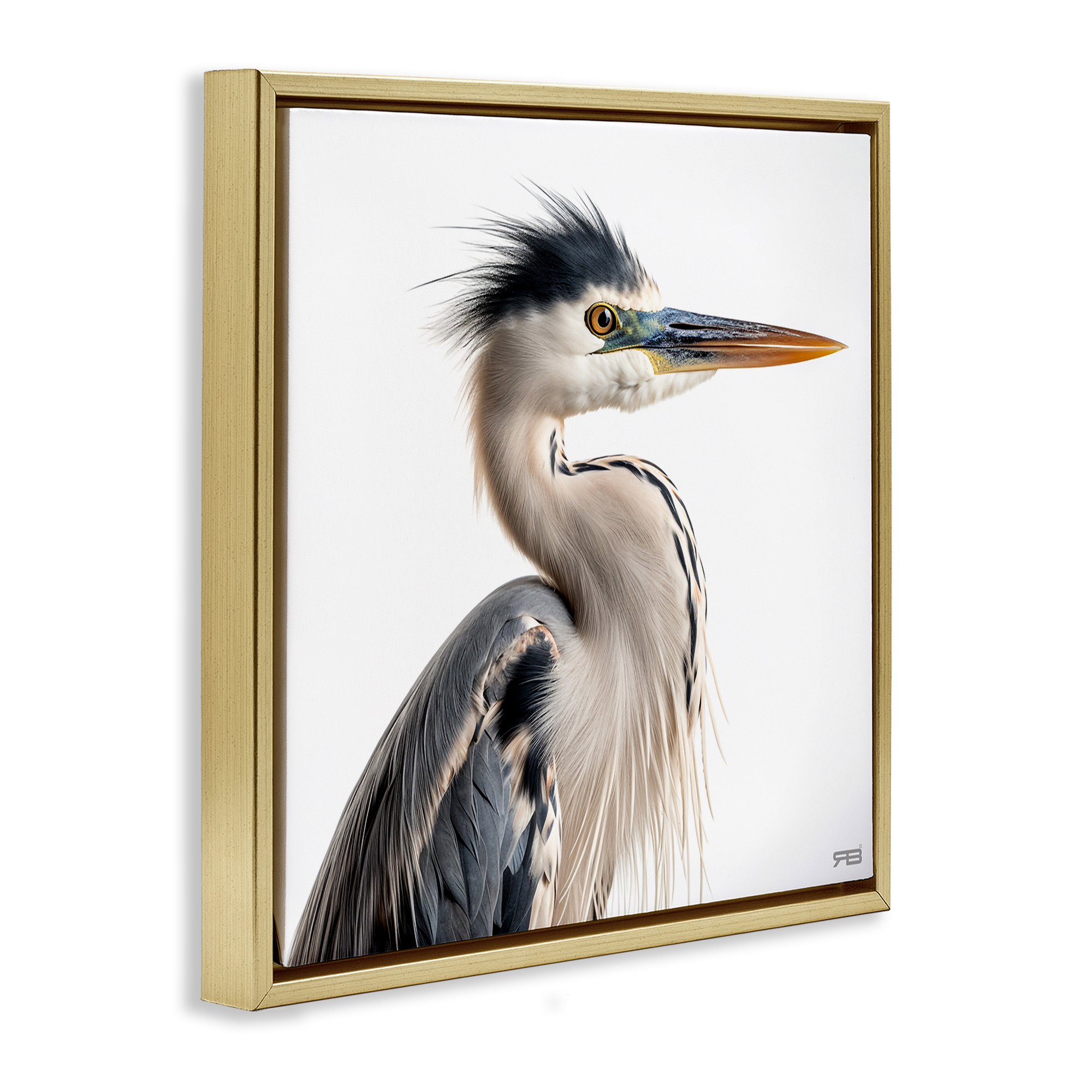 Stupell Industries Stoic Heron Looking Right Animals & Insects Painting Gold Floater Framed Canvas Art Print Wall Art, 25 x 25