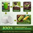thumbnail image 6 of 9 inch Biodegradable Plates 600-Pack, 100% Compostable Paper Plates, Eco-friendly Sugarcane Fiber Paper Plates with Biodegradable Packaging, Soak-proof Heavy Duty Plates for Party, Daily, 6 of 7