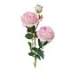 thumbnail image 1 of ¡Oferta relámpago! Flores JWDX, liquidación de flores artificiales, ramo de novia de peonías artificiales de rosas occidentales, decoración para bodas, Mr. Mr., 1 of 2