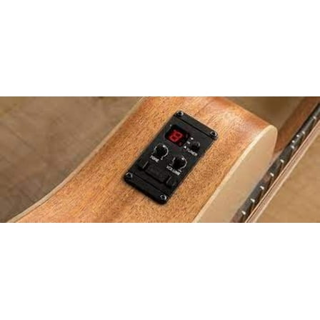 Taylor ES-B Tuner/Preamp System