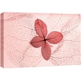 thumbnail image 3 of PixonSign Canvas Print Wall Art High Contrast Transparent Pink Leaf Botanical Wilderness Photography Realism Modern Closeup Colorful Ultra for Living Room, Bedroom, Office - 24"x36", 3 of 5