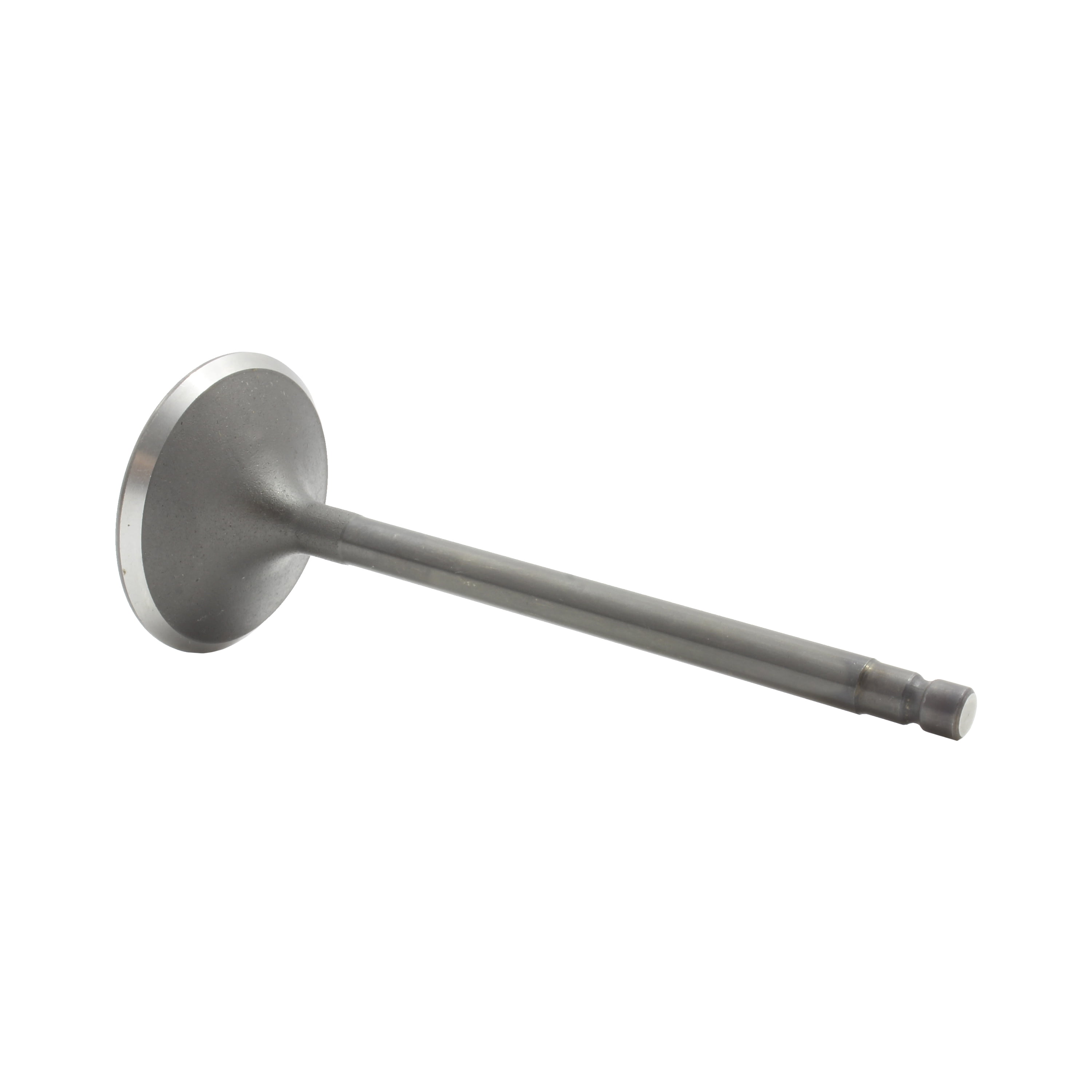 DNJ IV644 Engine Cylinder Head Valve Train Intake Valve