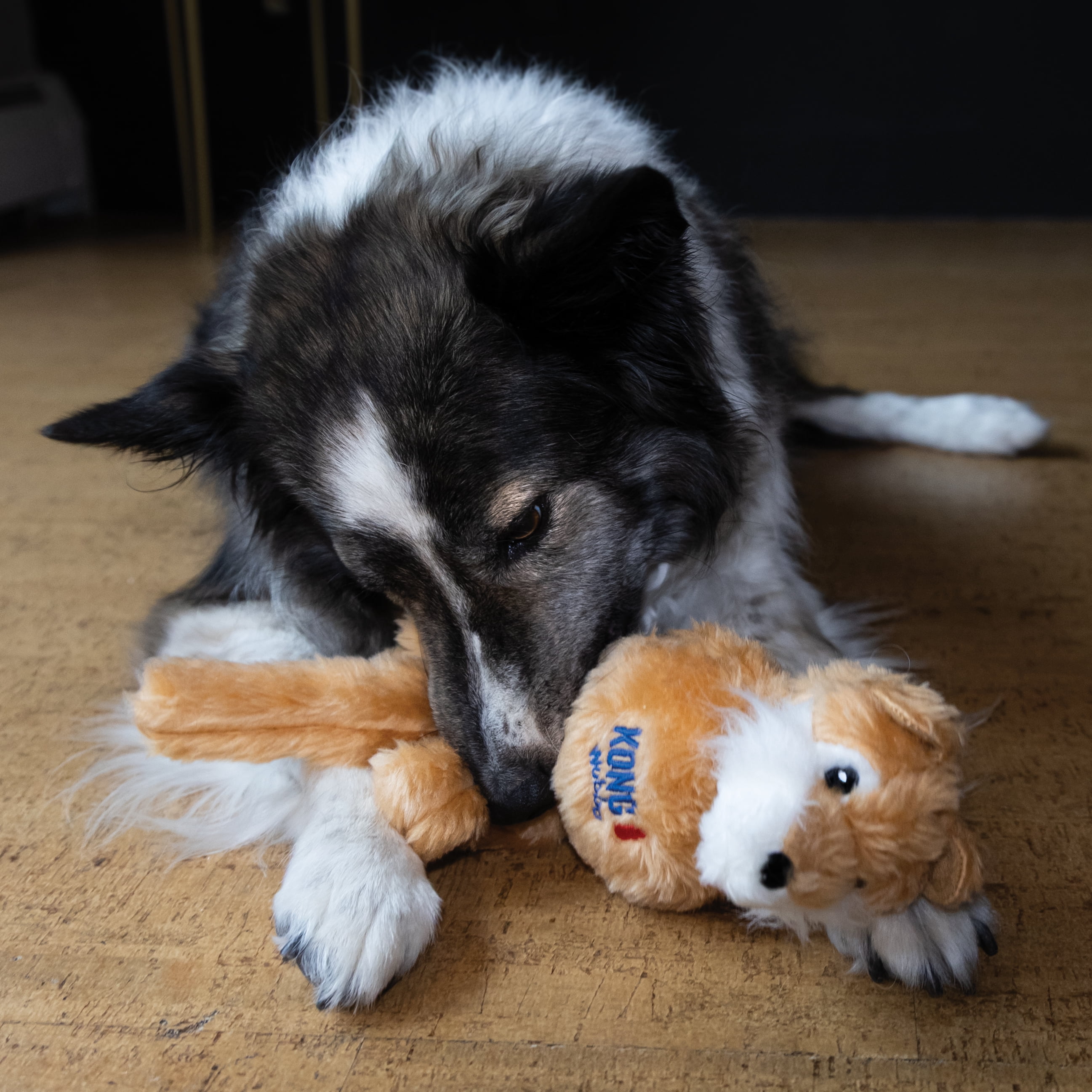 KONG® Wubba Squeaker Dog Toy, Fox, Small