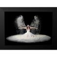 thumbnail image 2 of Pentony Ma, Pauline 24x18 Black Modern Framed Museum Art Print Titled - Dust Wings, 2 of 5