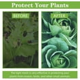 thumbnail image 6 of 10x33FT Garden Netting Mesh Insect Bird Barrier Ultra Fine Mosquito Net Vegetable Fruit Plant Protection for Garden Patio Pests Bugs Plant Covers, 6 of 7