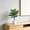 Green B, variant on Artificial Tall Potted Tree Floor Decoration With Realistic Wooden Trunk Plastic Green Leaves For Living Room Corner 17.71 X 23.62 Inches 1 Count