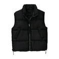 thumbnail image 3 of QUNYINEY Fall Womens Puffer Vest Black Zip Up Short Waistcoat Loose Fit Stand Collar Sleeveless with Pockets Womens Winter Jacket, 3 of 4