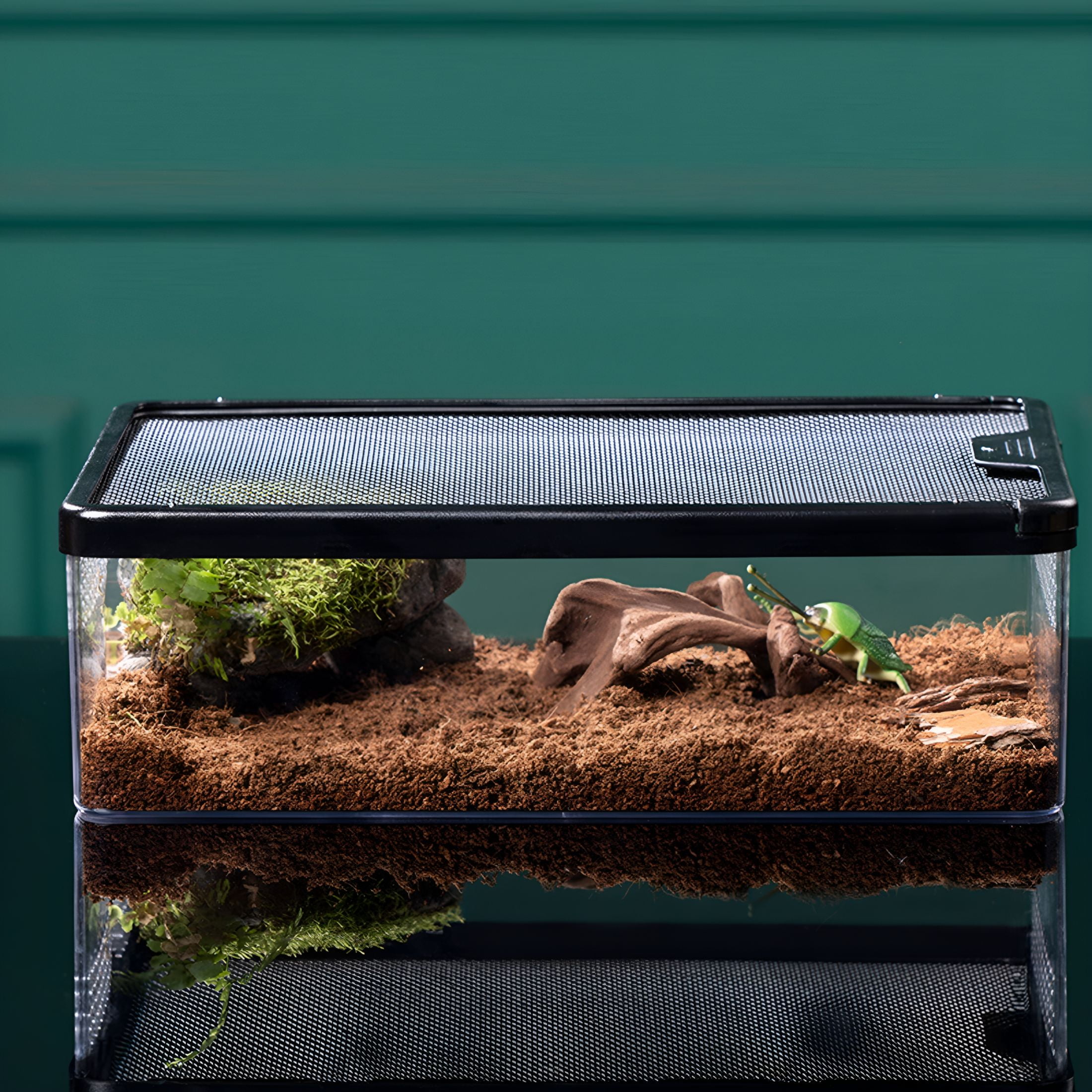 ACDANC 2026 New Turtle Tank with Breathable Holes Fish Tank, Multifunctional Areas Full-View Aquarium for Horned Frogs, Hamsters, Snakes, Turtles, Lizards Small Pet Anti Escape Crawler Box
