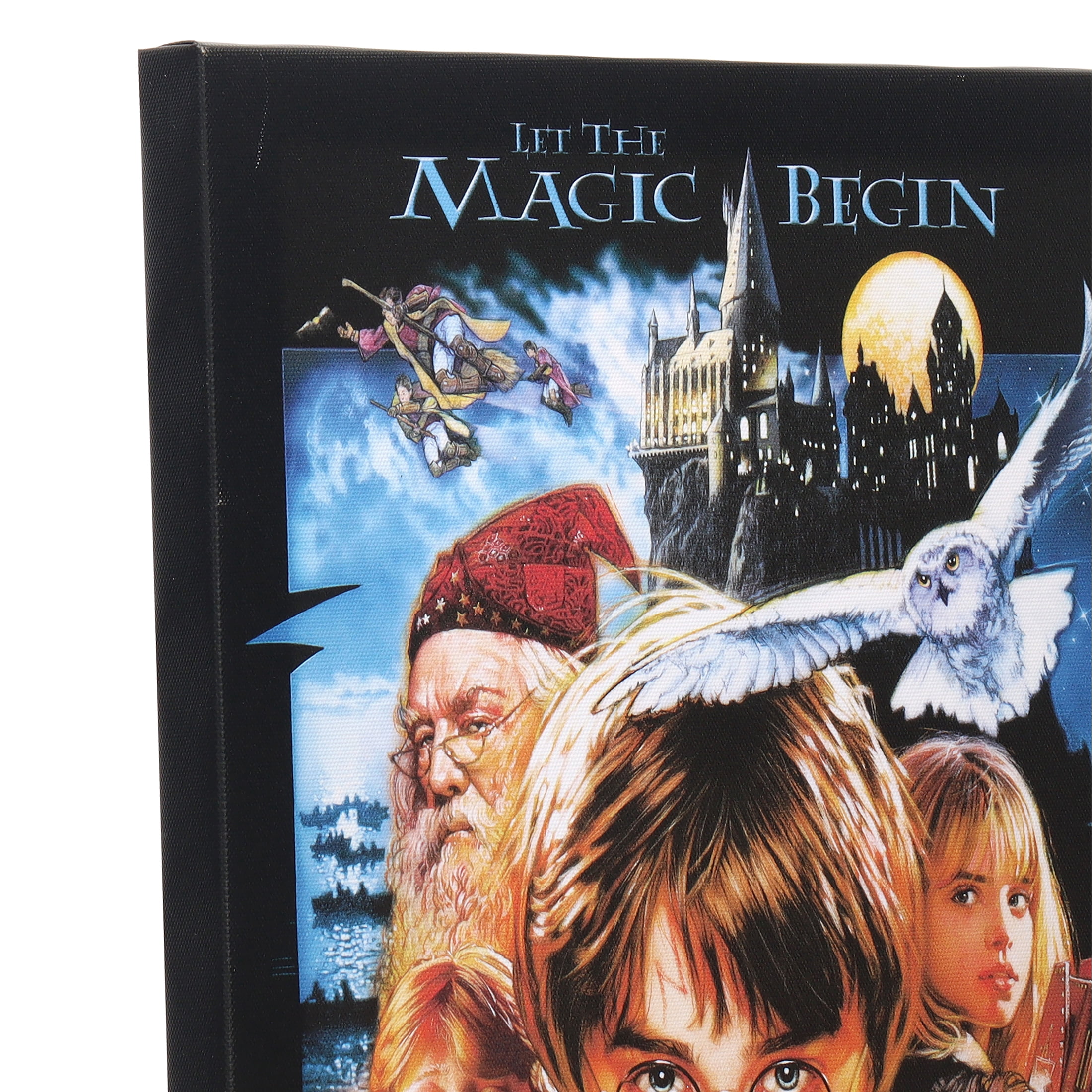Harry Potter and the Sorcerer's Stone Movie Poster Wood Wall Decor for Man Cave, Movie Room, or Game Room