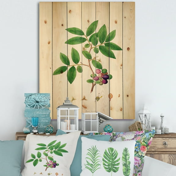 Designart 'Ancient London Plants XI' Farmhouse Print on Natural Pine Wood