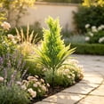 thumbnail image 4 of Hyknon Artificial Outdoors Flowers with Ground Stake, UV Resistant Fake Flowers, Fade Resistant Realistic Fake Plants, Weatherproof Faux Greenery Bushes Tree for Garden Yard Porch Patio Decor 19.7", 4 of 6
