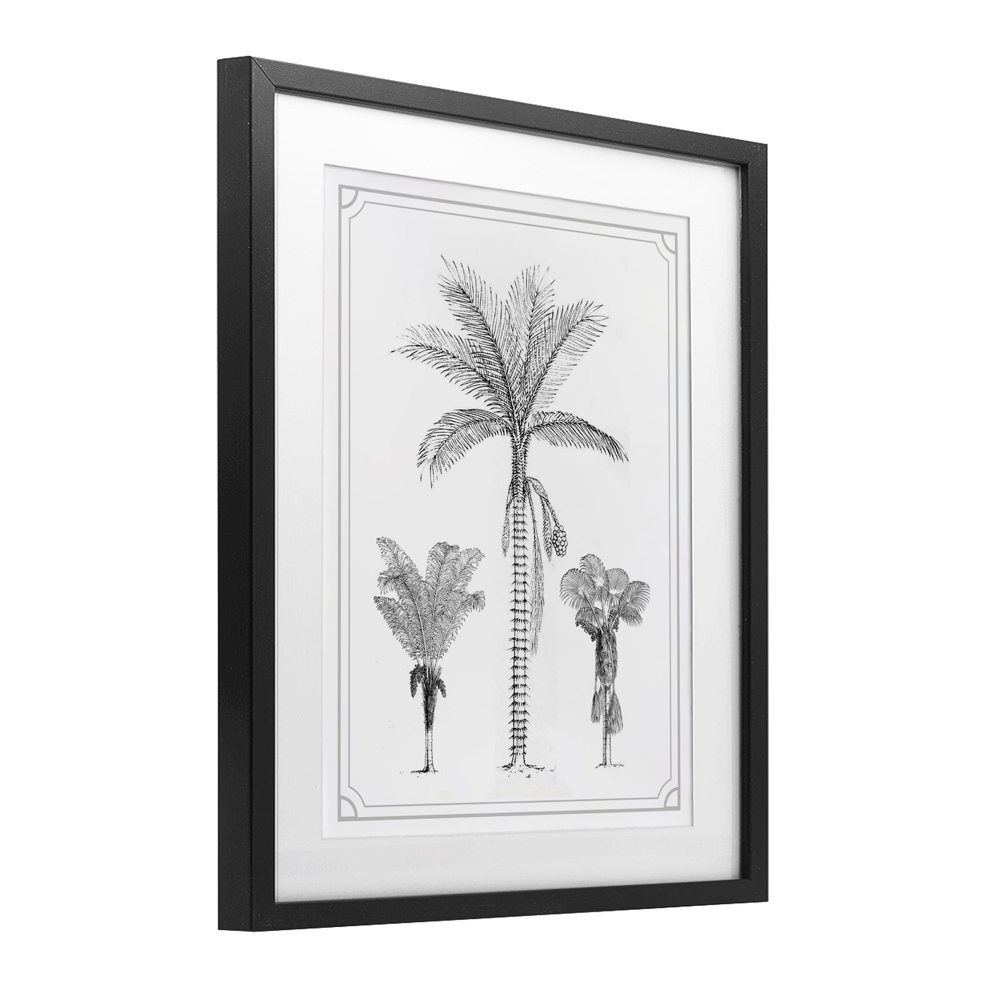 Palm Tree Trio Sketches Black Framed Print Under Glass, design by Lettered and Lined