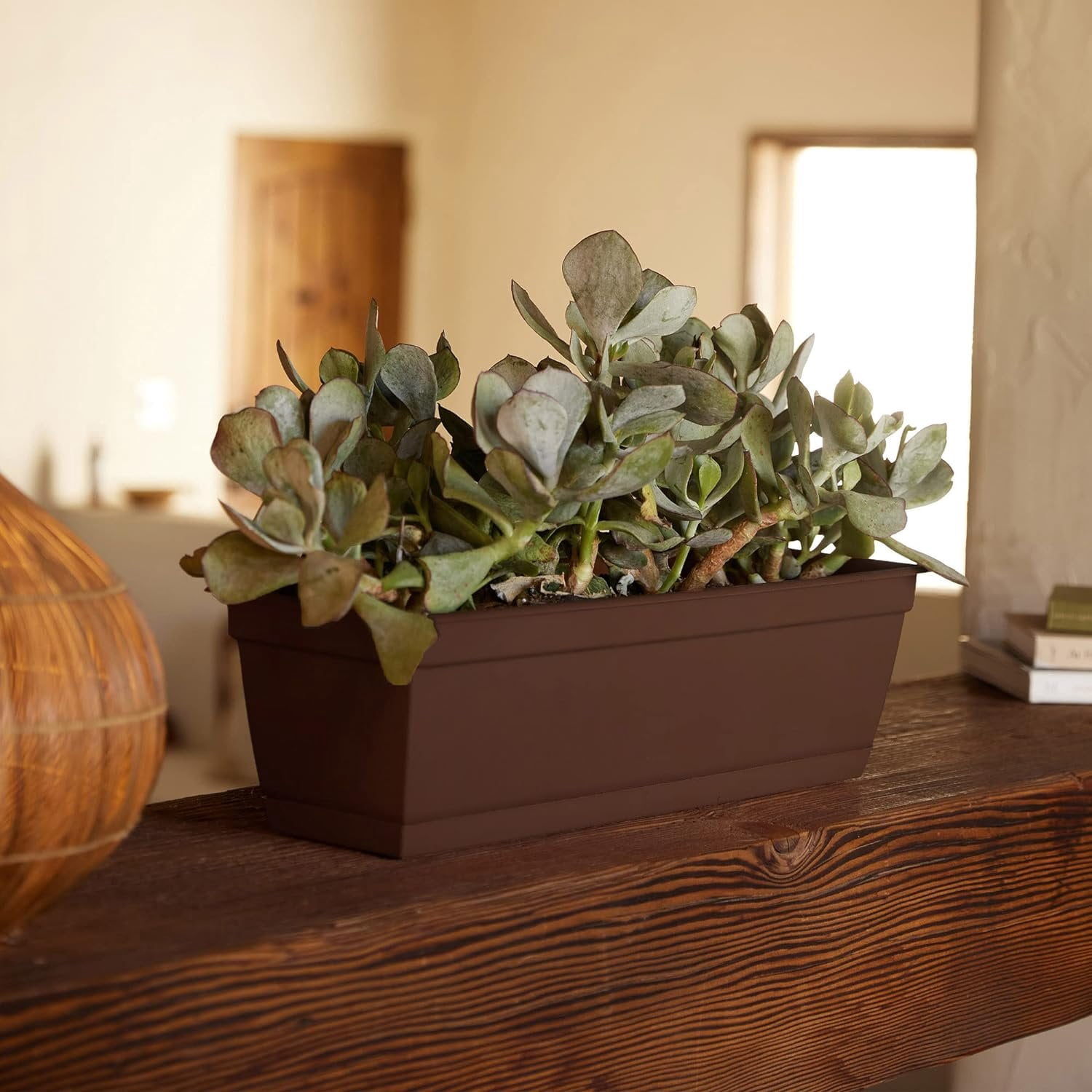 Bloem Dura Cotta Window Box Planter: 30" - Chocolate - Large Box with Tray, Weatherproof Resin Box, Removable Tray for Indoor & Outdoor Use, Gardening, 4 Gallon Capacity