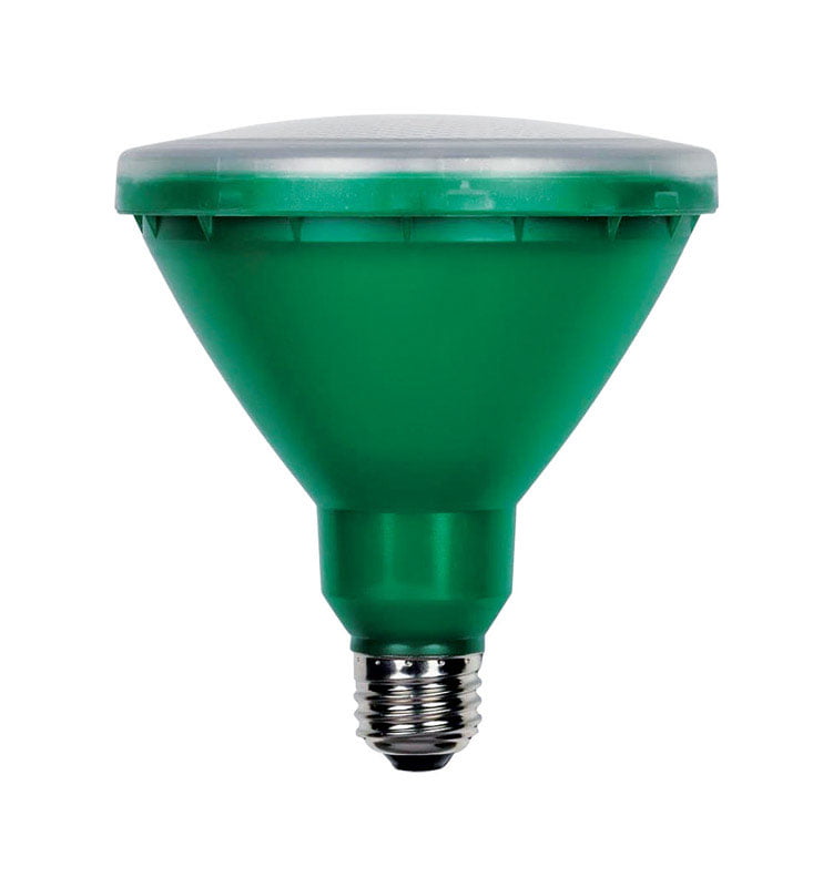 15W PAR38 Outdoor LED Green E26 (Medium) Base, 120 Volt, Box