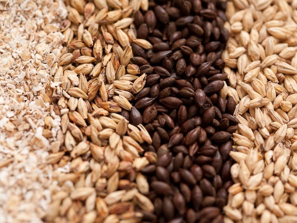 Transatlantic Blonde Ale Advanced ALL GRAIN 5 Gal Beer Recipe Kit My Brew Supply