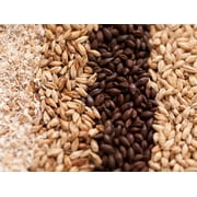 Christmas Ale MBS 5 gal Homebrew Extract Ingredient Kit
