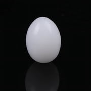 10Pcs White Solid Plastic Solid Pigeon Eggs Dummy Fake Eggs Hatching Supplies
