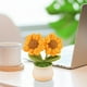 thumbnail image 4 of Jardín floral pequeño, maceta de lana, decoración interior, maceta de fieltro, maceta de lana suave, maceta para plantas, maceta de fieltro texturizado, maceta para hogar, maceta para, 4 of 8