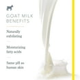 thumbnail image 5 of Beekman 1802 Hand Cream - Sweet Grass - Moisturizing & Hydrating Goat Milk Hand Lotion for Dry & Sensitive Skin - Anti-Aging Hydration - Goat Milk Hand Care - 2 oz Sweet Grass 2 Fl Oz (Pack of 1), 5 of 6