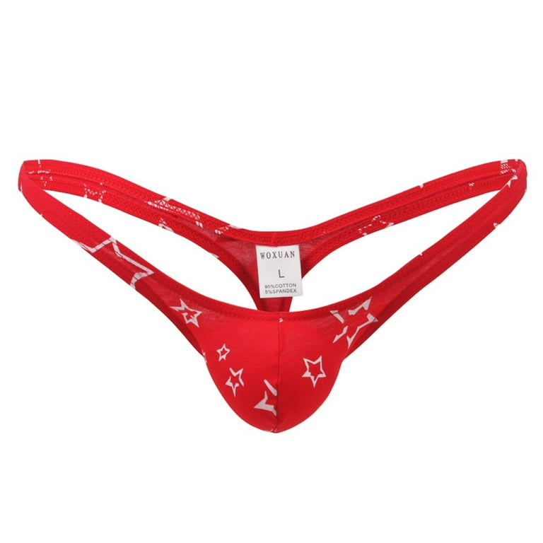 Men's Underwear Thong Ice Silk Bikini Briefs G-String T-Back Undies