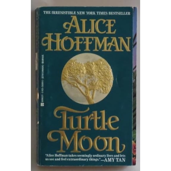 Pre-Owned Turtle Moon (Unknown) 042513699X 9780425136997
