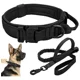 thumbnail image 1 of Collar De Perro Ajustable Y Correa Retráctil Para Perros Gra, 1 of 5