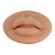 thumbnail image 1 of Fiudx Práctica de Modelo de Labios: Entrenamiento de Maquillaje Permanente de Alta Fidelidad, 1 of 3