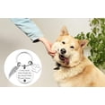 thumbnail image 6 of In Memory of Dog Cat Keychain Loss of Dog Sympathy Remembrance Gift Bereaved Pets Gift Dog Keychain Memorial Keepsakes Bereavement Gifts for Loss of Pet Cat Keyring, 6 of 6