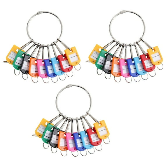 Portable Metal Ring Key Organizer with 30 Spring Hooks & Key Tags with Ring and Label Window