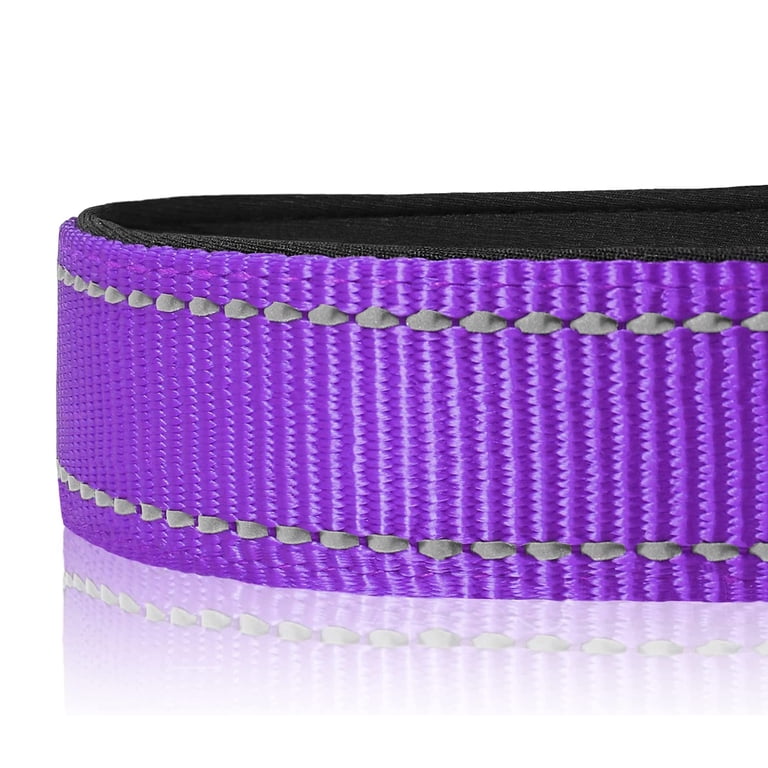 PERCEN Reflective Neoprene Padded Dog Collar, Adjustable photo 4