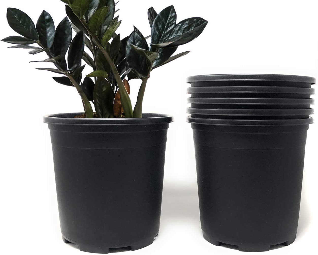 Wholesale Nursery Pot in BulkPlastic Planters for Outdoor Indoor  Gardening Flower Pots with Drainage Holes Color