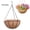 10 in, variant on 8 Inch Metal Hanging Basket with Coconut Liner,Rust-Resistant Wire Planter Flower Pot Holder for Indoor Outdoor Plants, Garden Balcony Patio Decoration