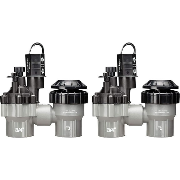 Rain Bird DASASVF075 Professional Grade Anti-Siphon Valve with Flow Control, 3/4" Threaded Female x Female Pack of 2
