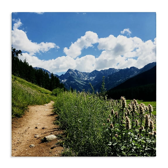 Stupell Industries Lovely Path with Clouds Landscape & Nature Photography Wrapped Canvas Art Print Wall Art, 17 x 17