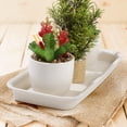 thumbnail image 4 of QUMIIRITY 5Ud Bandejas Plásticas Beige Para Macetas Protección De Superficies Y Plantas, 4 of 8