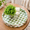 Pistachio Green-Round, variant on 12.6 Inch Round Navy Blue Capiz Shell Decorative Serving Tray with Handles