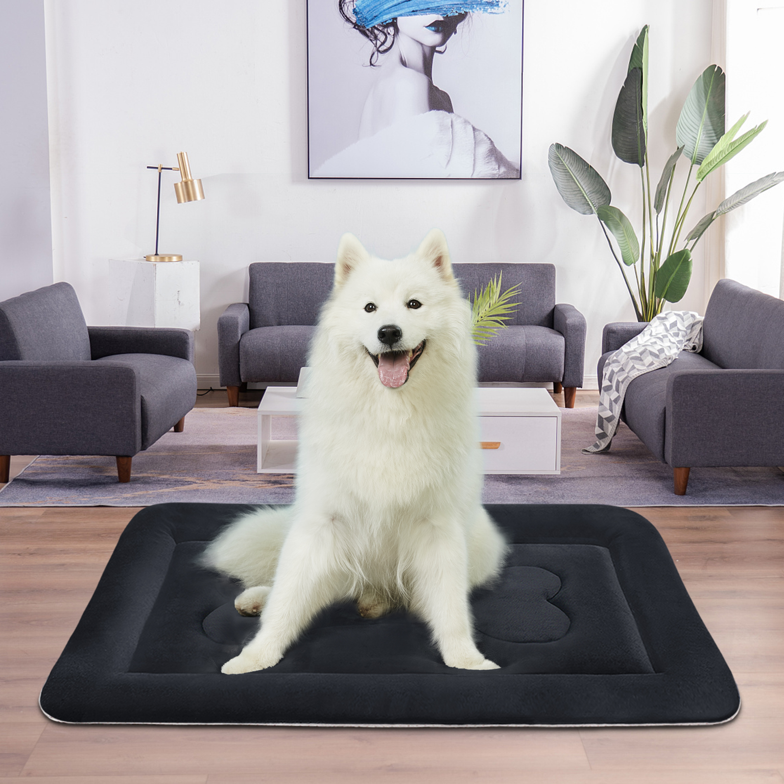 Aspen Pet Hundebett Für Transportbox – Dunkelgrau, 23,5x16,5 Zoll